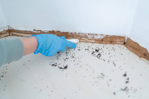 Best Mosquito Control Services  in Owensville, IN